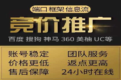 成功案例解析：SEM竞价托管的优化之路